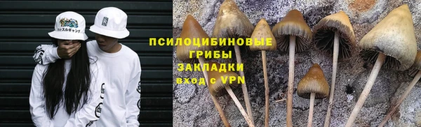 гидра Усинск