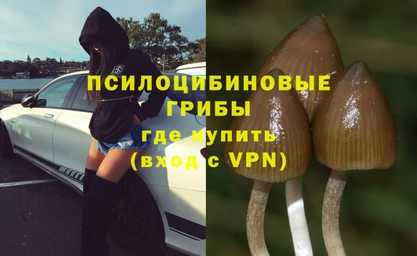 MESCALINE Пролетарск
