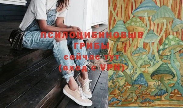 спиды Покровск
